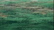 ns2960799.jpg